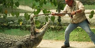 Crocodile Park